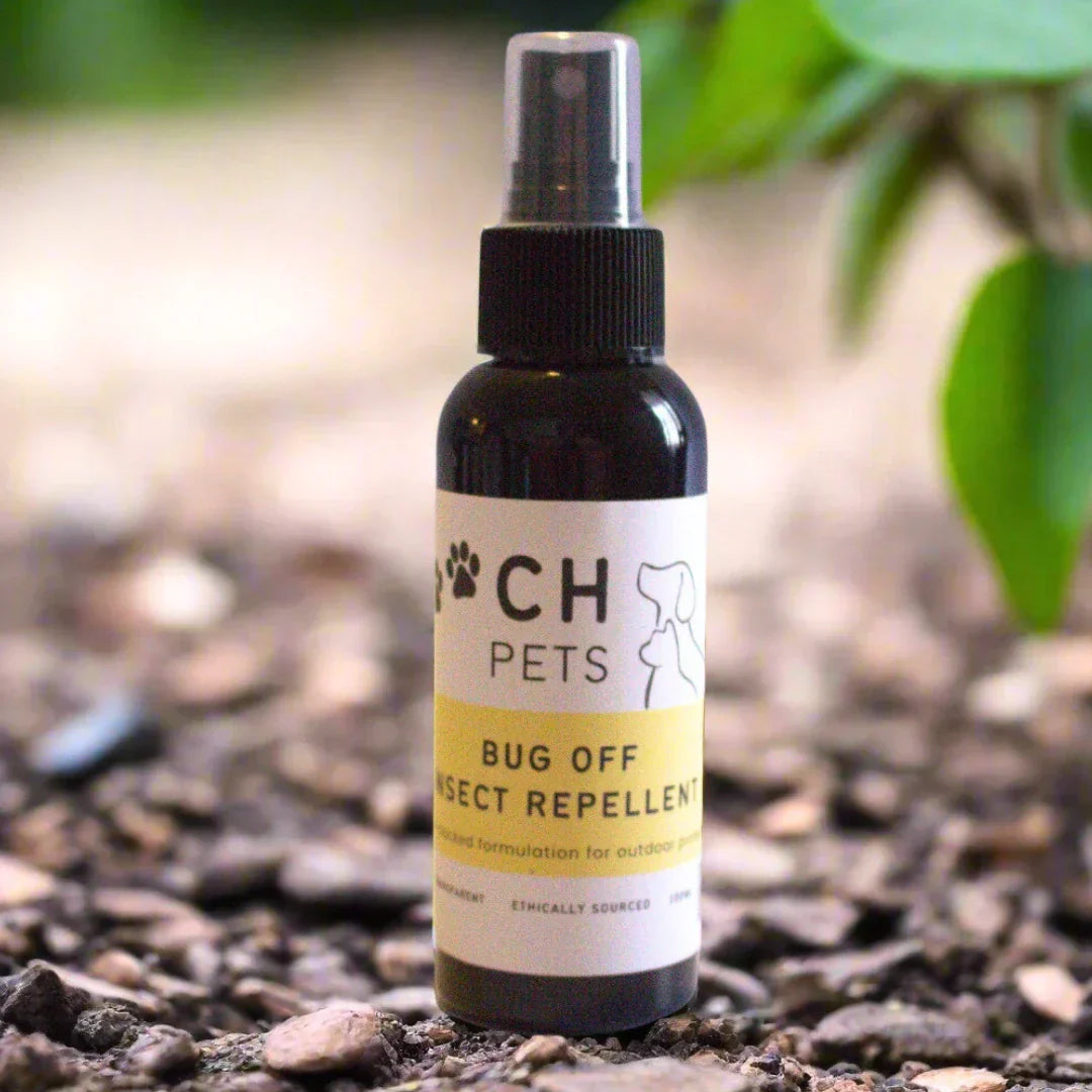 Heartworm in Dogs: What Every Pet Parent Needs to Know (And How to Protect Your Pet Naturally)