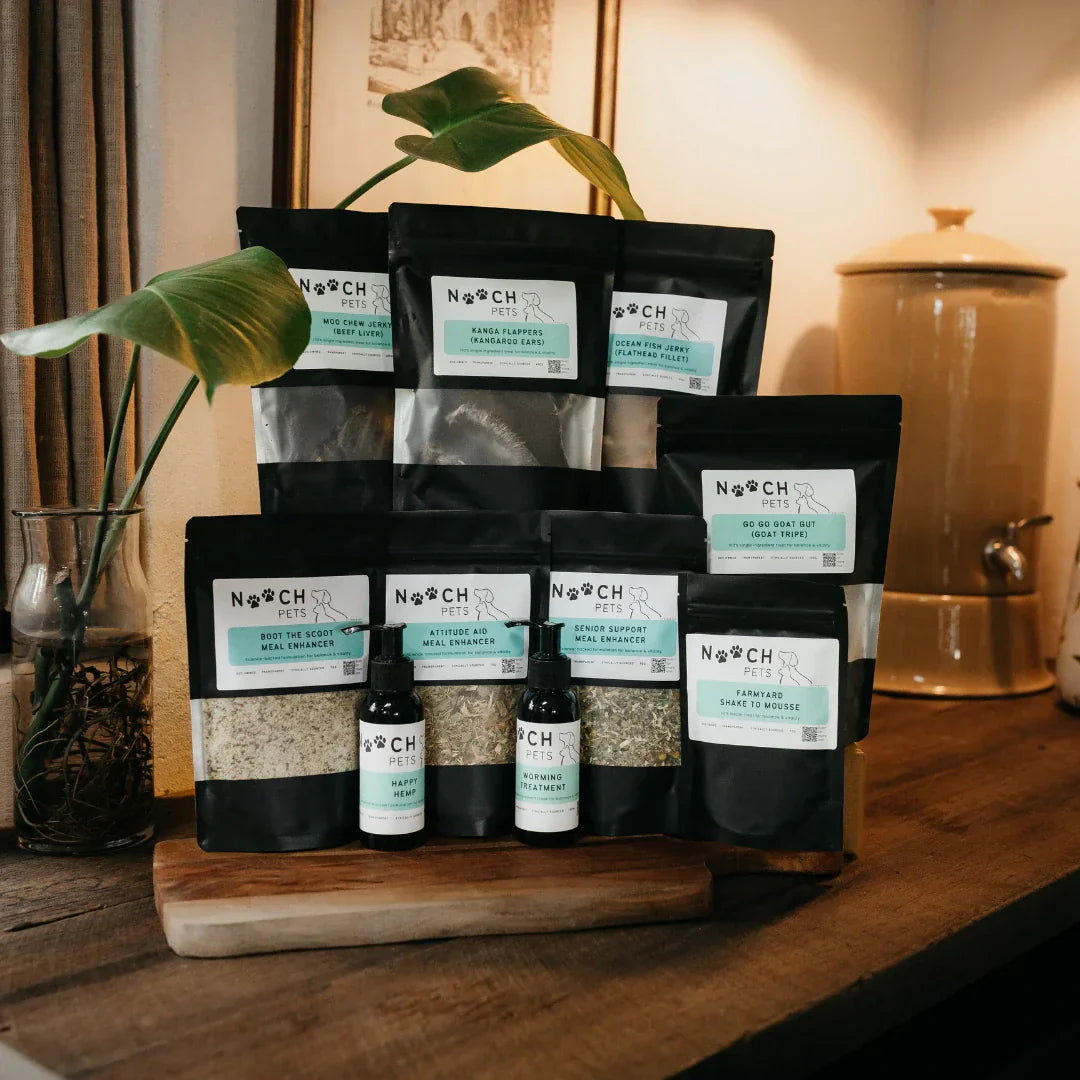 Gut Health for Dogs: The Complete Guide to Digestion, Fresh Feeding, and Fibre