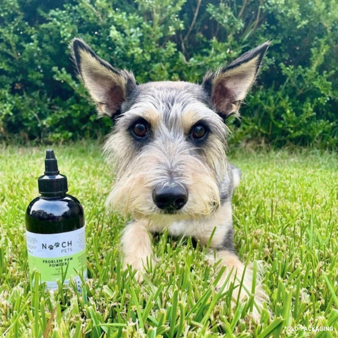 PROBLEM PAW POWDER