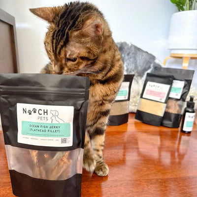 Beyond Hypoallergenic: How to Choose the Best Protein for Your Dog or Cat