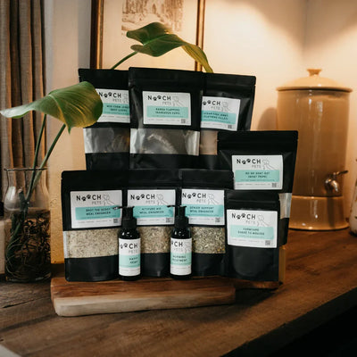 Gut Health for Dogs: The Complete Guide to Digestion, Fresh Feeding, and Fibre