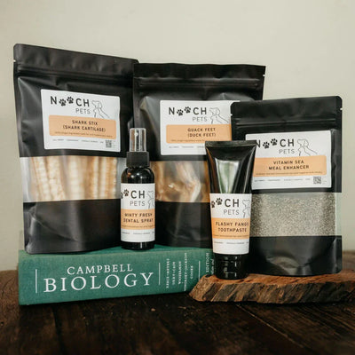 Dog Dental Health: Why It Matters & How to Keep Your Pup’s Smile Sparkling