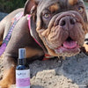 BUG OFF INSECT REPELLENT