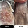 SILVER SOLVER SPRAY