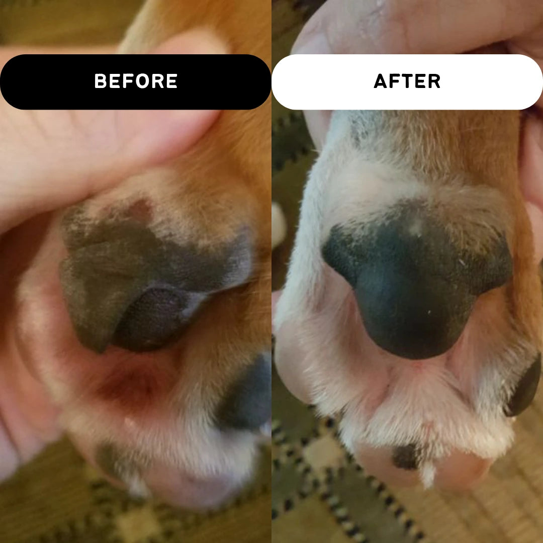 PROBLEM PAW POWDER