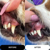 FLASHY FANGS TOOTHPASTE