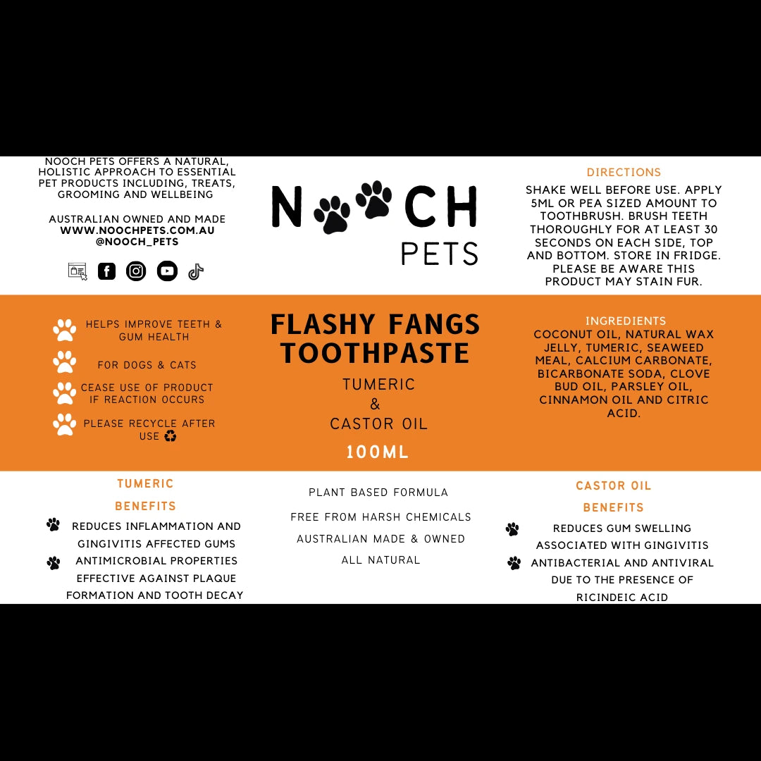 FLASHY FANGS TOOTHPASTE