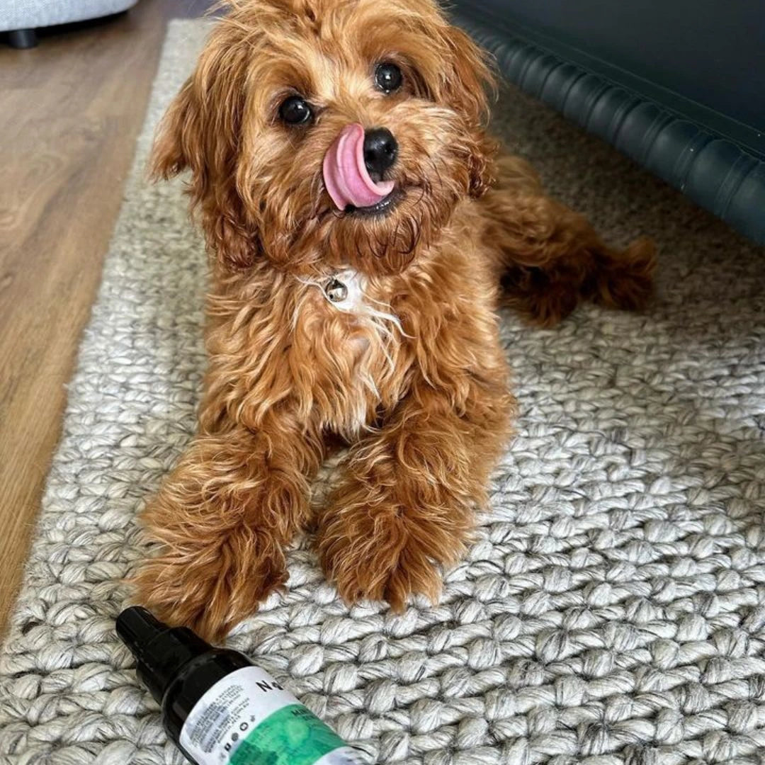 MINTY FRESH DENTAL SPRAY