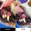 FLASHY FANGS TOOTHPASTE