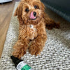 MINTY FRESH DENTAL SPRAY