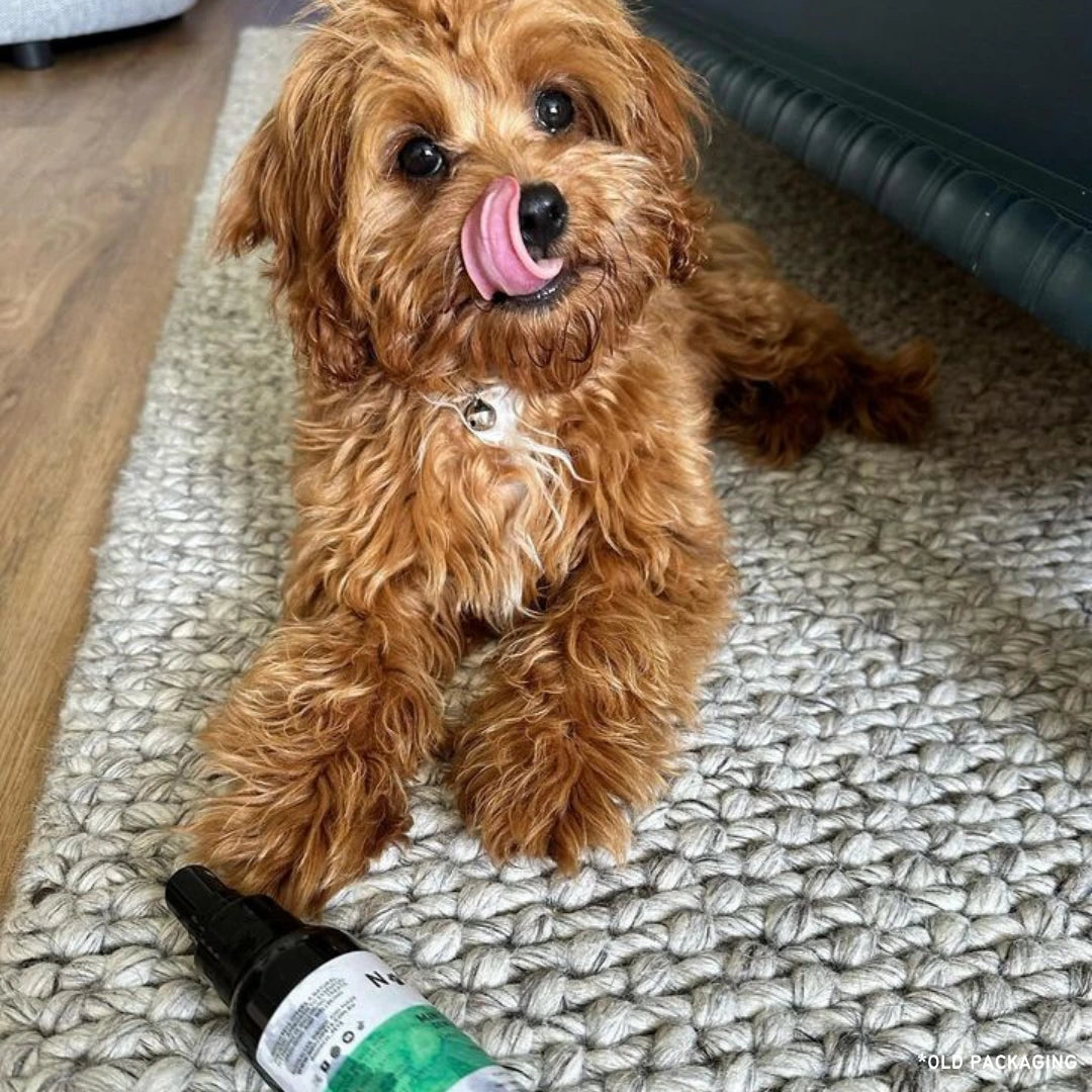 MINTY FRESH DENTAL SPRAY