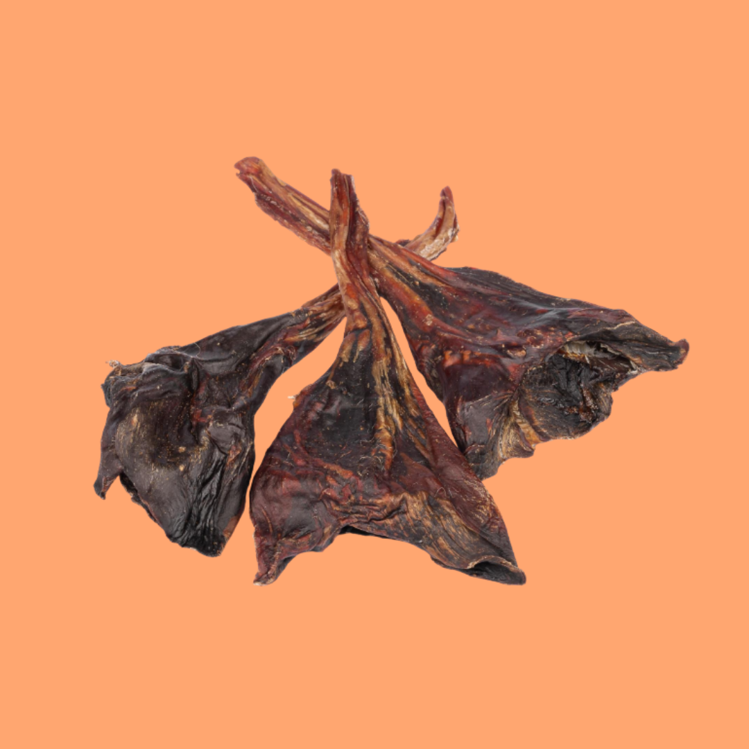 KANGA TENDONS