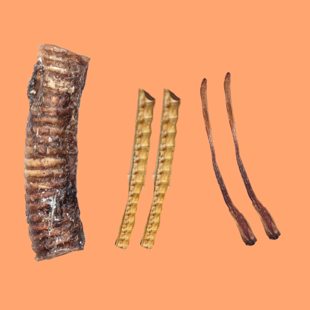 CHEW/ DENTAL S/M PACK