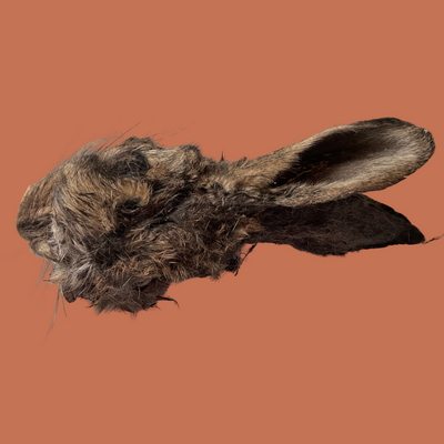 WHOLE DEHYDRATED RABBIT HEAD | NATURAL DOG CHEW