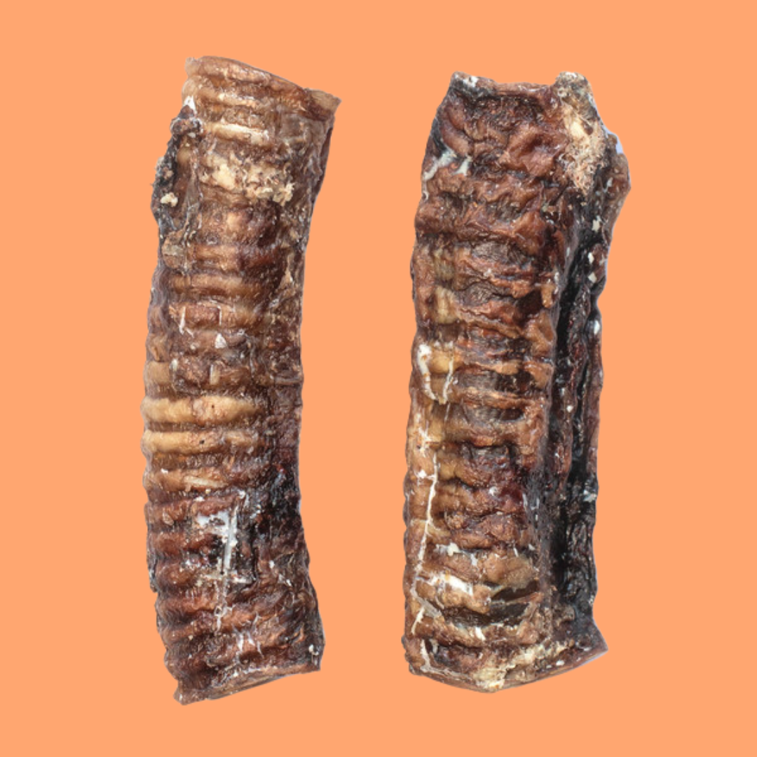 MOO TUBE - BEEF TRACHEA