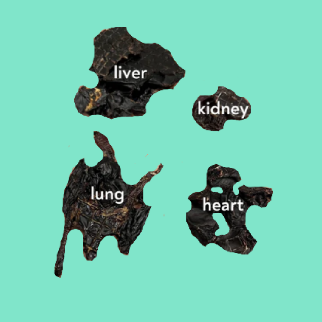 BUNNY BOOSTERS - RABBIT LIVER, LUNG, HEART & KIDNEY