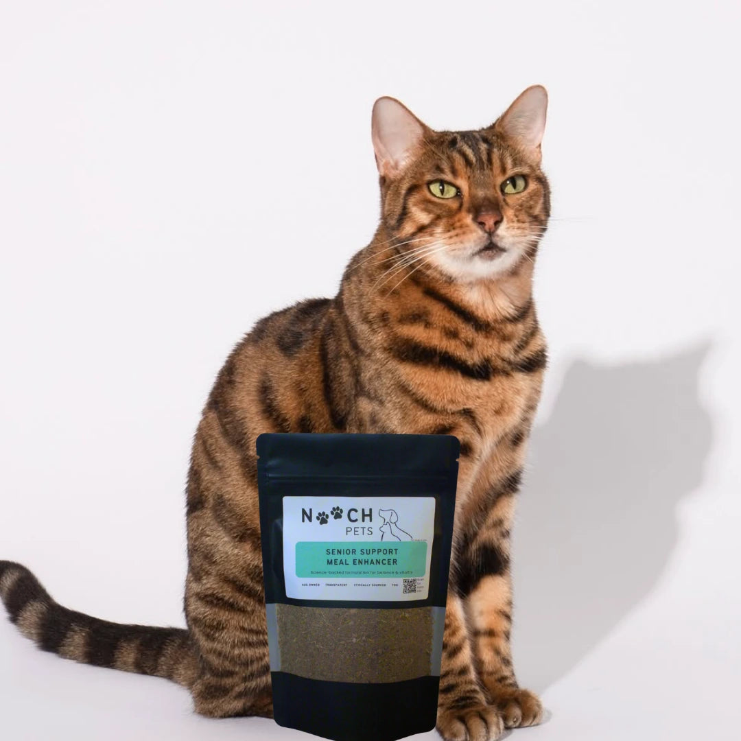 Nooch Pets Senior Support Meal Enhancer showing packaging, used for senior dogs and cats to aid joint, eye and blood circulation health. Cat sitting next to a Nooch Pets product on a white background