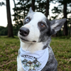 Nooch Pets Bandana - It’s time for your pet to thrive