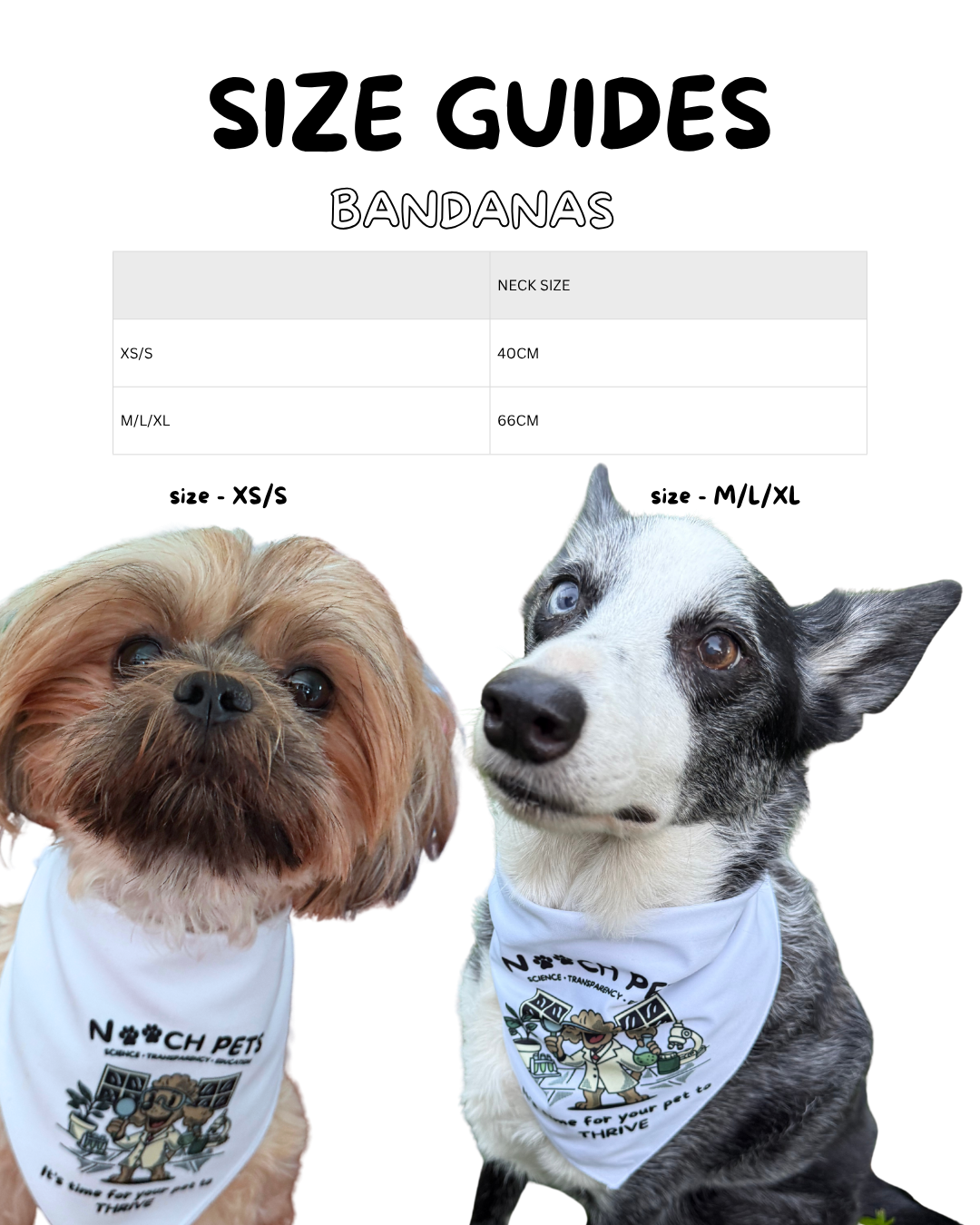 Nooch Pets Bandana - It’s time for your pet to thrive