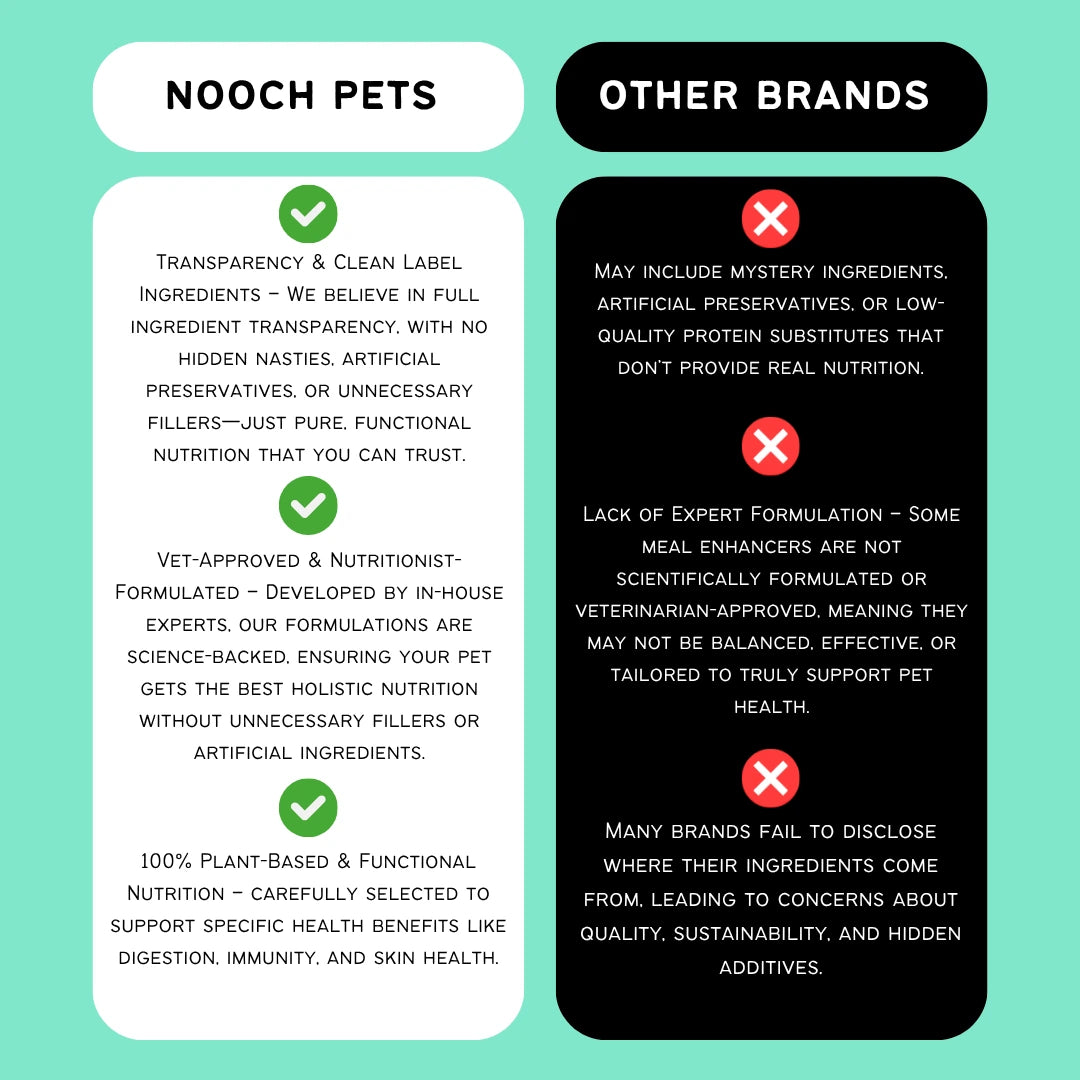 Comparison chart between Nooch Pets and other brands on a teal background