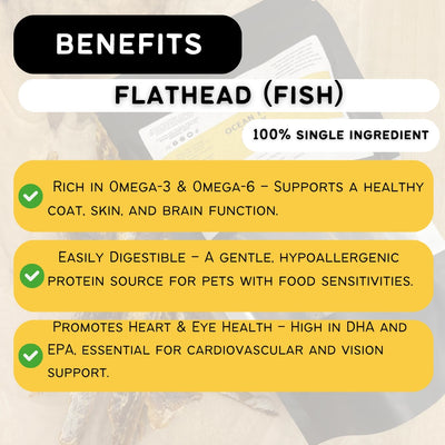 OCEAN FISH JERKY