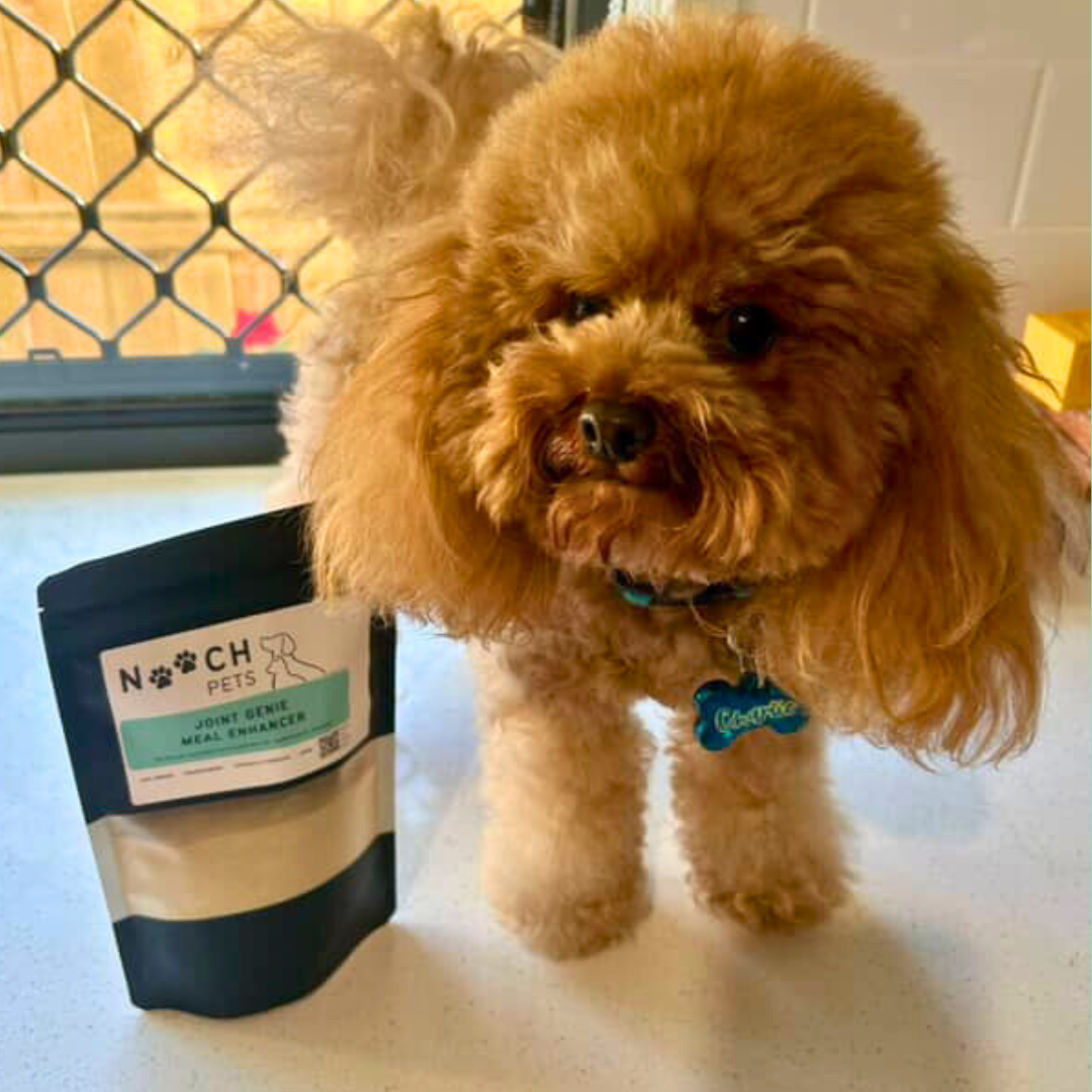 JOINT GENIE MEAL ENHANCER