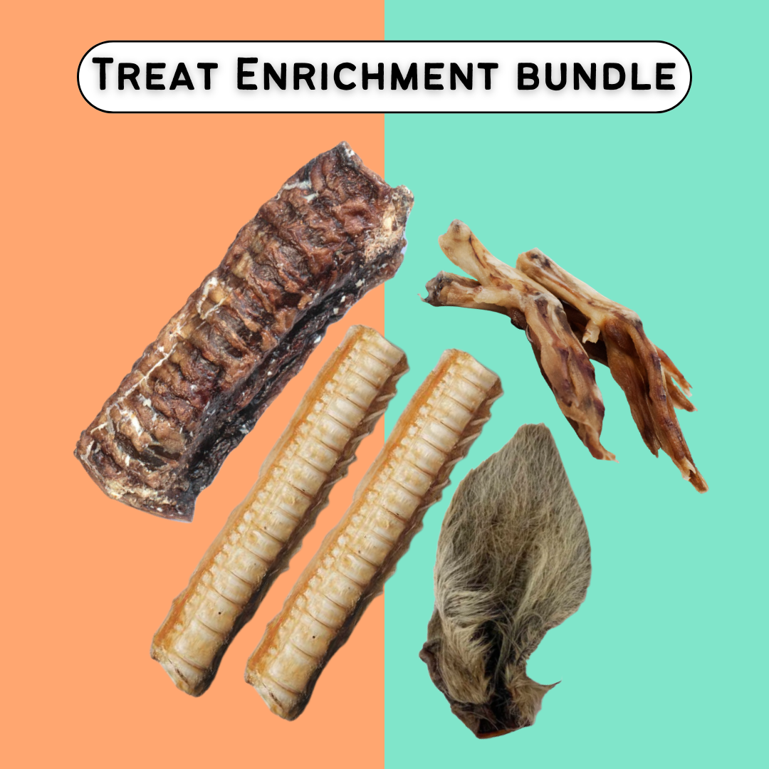 TREAT ENRICHMENT BUNDLE
